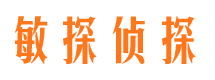 台江侦探公司